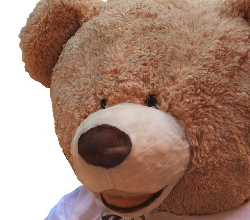 Modelo se abre en una ventana aparte